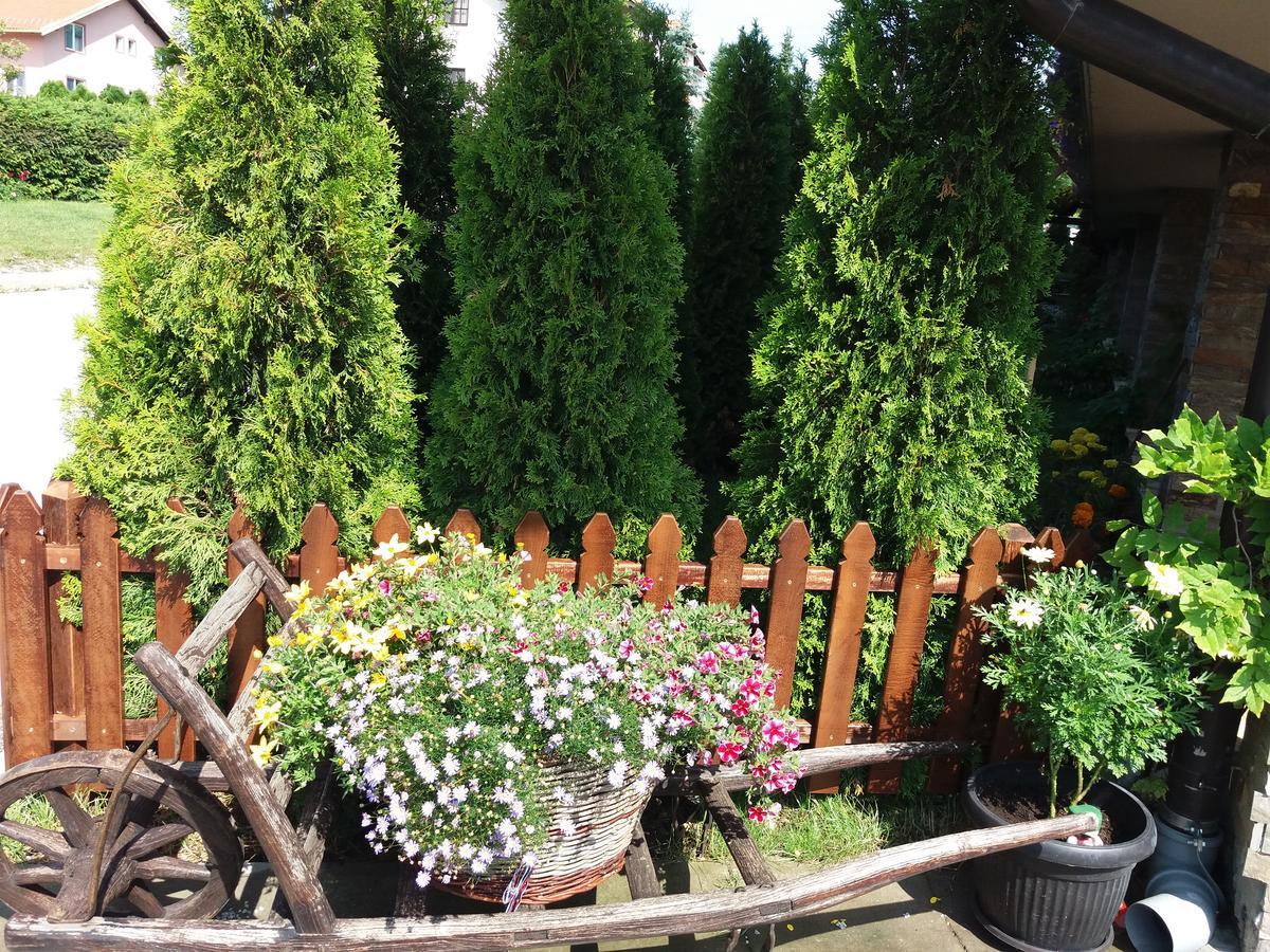 Centar! Lara Zlatibor Apartment Bagian luar foto