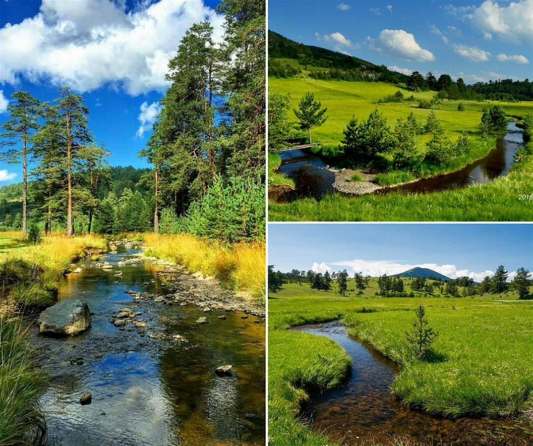 Centar! Lara Zlatibor Apartment Bagian luar foto
